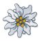 Prym Applikation Edelweiss