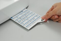 Carina Diamond Gebraucht