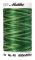 AMANN METTLER Stickgarn POLY SHEEN MULTI® - Spring Grasses  (9932) - 800 m - No.40